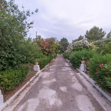 Dea Oda ve Kahvaltı